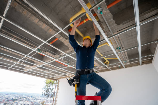 Best Local Plumber Services  in South Wallins, KY
